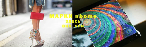 apvp Алзамай