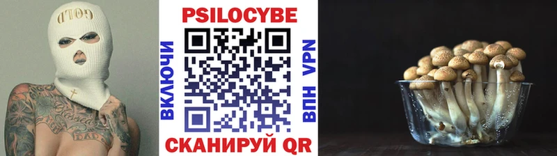 Галлюциногенные грибы прущие грибы  наркотики  Северодвинск 